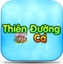 Medium img tdc 1